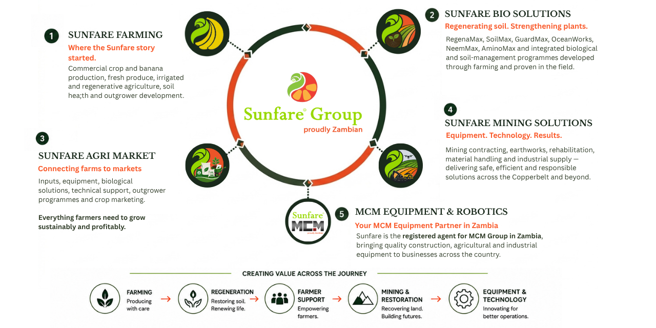 THE SUNFARE MODEL THE SUNFARE MODEL
